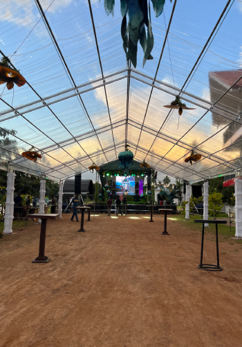 about-section image 2